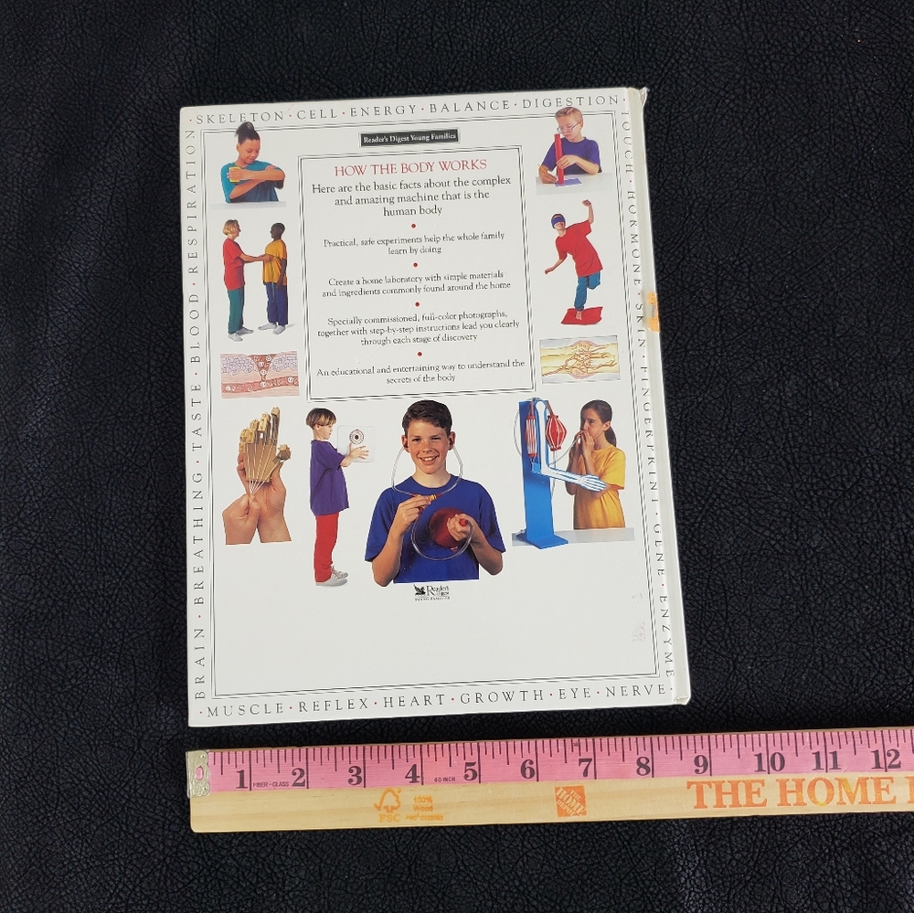 How the Body Works Book! - Picture 10 of 11